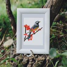 Load image into Gallery viewer, 12 Mini Diamond Paintings - Vogels
