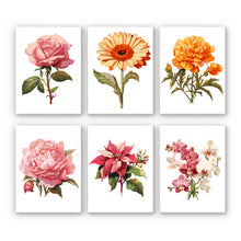 Load image into Gallery viewer, Schilderen op Nummer | Bloemen
