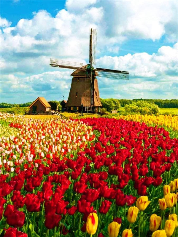 Diamond Painting - Tulpenveld met Molen