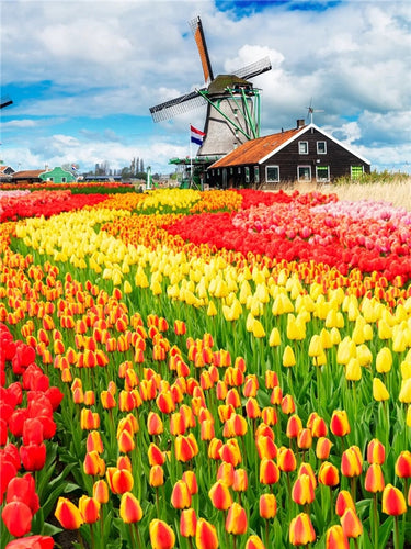 Diamond Painting - Molen met Tulpenveld