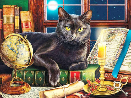 Diamond Painting - Zwarte Kat op Boek