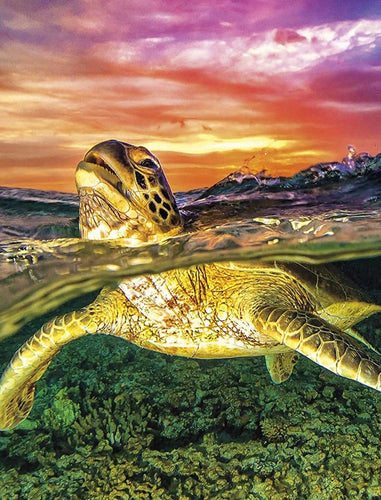 Diamond Painting - Zeeschildpad