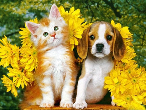 Diamond Painting - Puppy & Kitten tussen de Bloemen