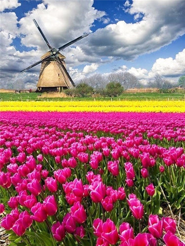 Diamond Painting - Molen met Roze Tulpen