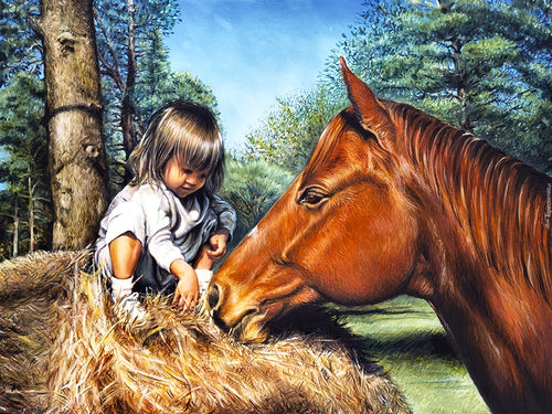 Diamond Painting - Meisje met Paard