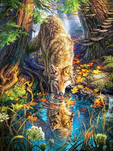 Diamond Painting - Wolf bij het Water