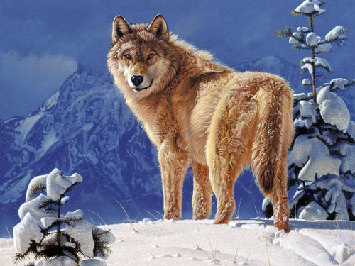 Diamond Painting - Wolf