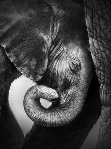 Diamond Painting - Olifant