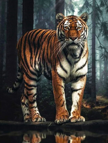 Diamond Painting - Tijger in het Bos